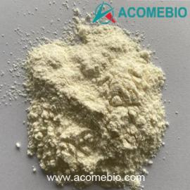 Sustanon powder Sustanon 250